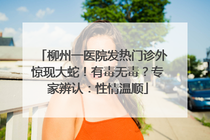 柳州一医院发热门诊外惊现大蛇！有毒无毒？专家辨认：性情温顺