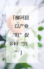 柳河县：以产业“旺”促乡村“兴”