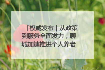 权威发布｜从政策到服务全面发力，聊城加速推进个人养老金制度落地