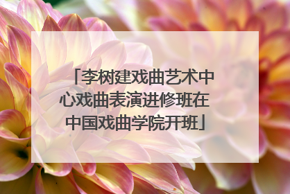 李树建戏曲艺术中心戏曲表演进修班在中国戏曲学院开班