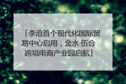李沧首个现代化国际贸易中心启用，金水·伍合跨境电商产业园启航
