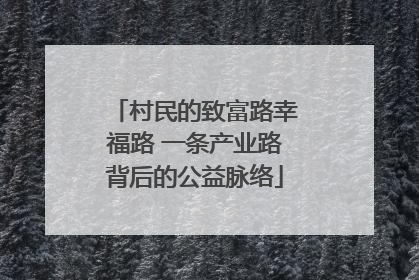 村民的致富路幸福路 一条产业路背后的公益脉络