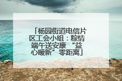 杨园街道电信片区工会小组：粽情端午送安康 “益心暖新”零距离