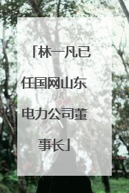 林一凡已任国网山东电力公司董事长