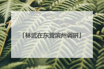 林武在东营滨州调研