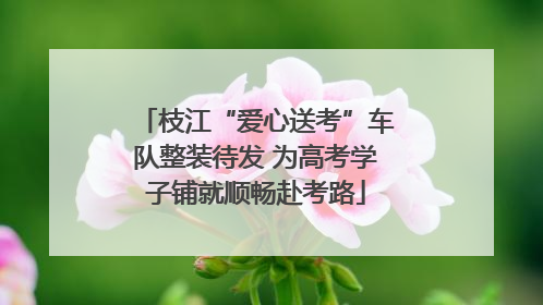 枝江“爱心送考”车队整装待发 为高考学子铺就顺畅赴考路