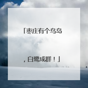 枣庄有个鸟岛，白鹭成群！