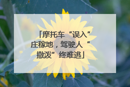 摩托车“误入”庄稼地，驾驶人“撒泼”终难逃