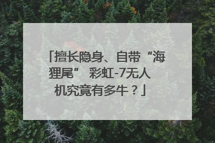 擅长隐身、自带“海狸尾” 彩虹-7无人机究竟有多牛？