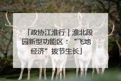 政协江淮行｜淮北段园新型功能区：“飞地经济”拔节生长