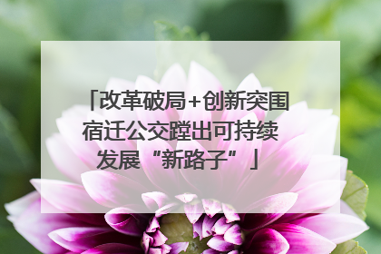 改革破局+创新突围 宿迁公交蹚出可持续发展“新路子”