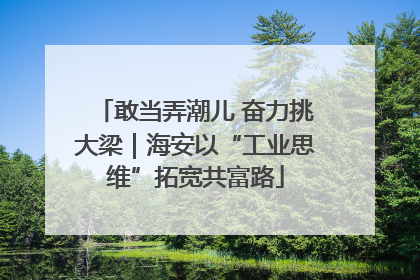 敢当弄潮儿 奋力挑大梁｜海安以“工业思维”拓宽共富路