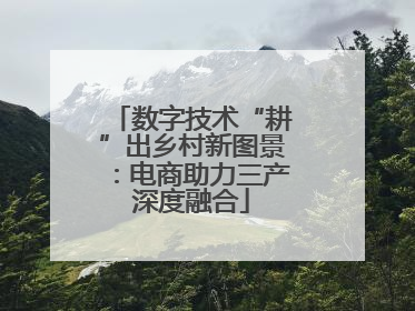 数字技术“耕”出乡村新图景：电商助力三产深度融合