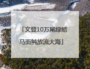 文登10万尾绿鳍马面鲀放流大海