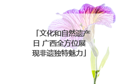 文化和自然遗产日 广西全方位展现非遗独特魅力