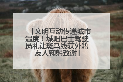文明互动传递城市温度！城阳巴士驾驶员礼让斑马线获外籍友人鞠躬致谢
