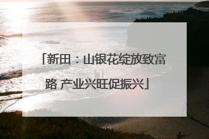 新田：山银花绽放致富路 产业兴旺促振兴