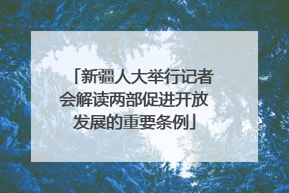 新疆人大举行记者会解读两部促进开放发展的重要条例