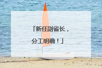 新任副省长，分工明确！