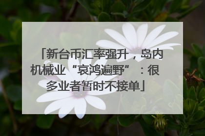 新台币汇率强升，岛内机械业“哀鸿遍野”：很多业者暂时不接单