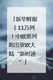 新华鲜报丨11万列！中欧班列跑出亚欧大陆“新时速”
