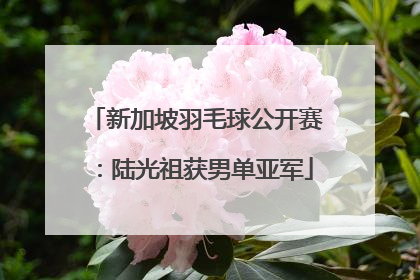 新加坡羽毛球公开赛：陆光祖获男单亚军