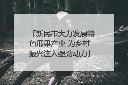 新民市大力发展特色瓜果产业 为乡村振兴注入强劲动力