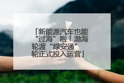 新能源汽车也能“过海”啦！渤海轮渡“绿安通” 轮正式投入运营