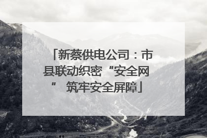 新蔡供电公司：市县联动织密“安全网” 筑牢安全屏障