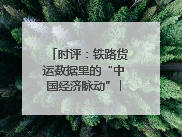 时评：铁路货运数据里的“中国经济脉动”