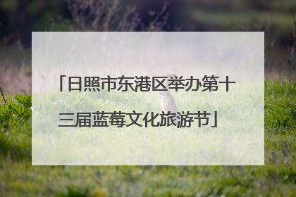 日照市东港区举办第十三届蓝莓文化旅游节