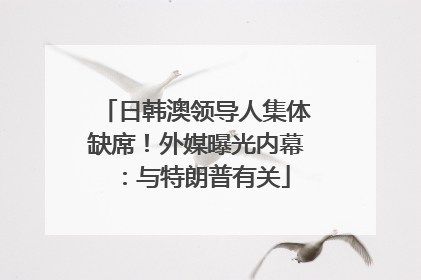 日韩澳领导人集体缺席！外媒曝光内幕：与特朗普有关
