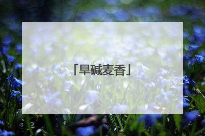 旱碱麦香