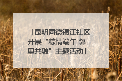 昆明同德锦江社区开展“粽情端午 邻里共融”主题活动