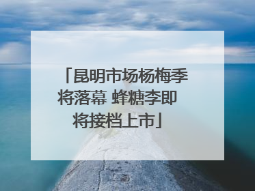 昆明市场杨梅季将落幕 蜂糖李即将接档上市