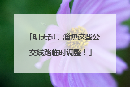 明天起，淄博这些公交线路临时调整！