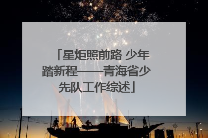 星炬照前路 少年踏新程——青海省少先队工作综述