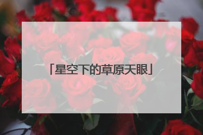 星空下的草原天眼
