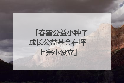 春雷公益小种子成长公益基金在坪上完小设立
