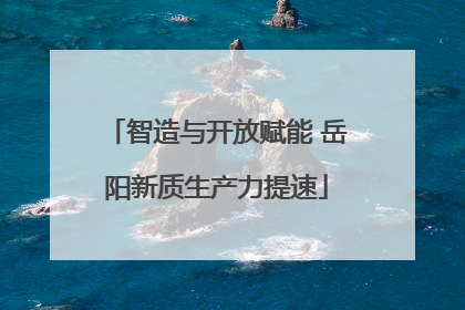 智造与开放赋能 岳阳新质生产力提速