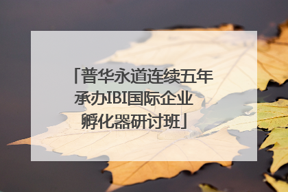 普华永道连续五年承办IBI国际企业孵化器研讨班