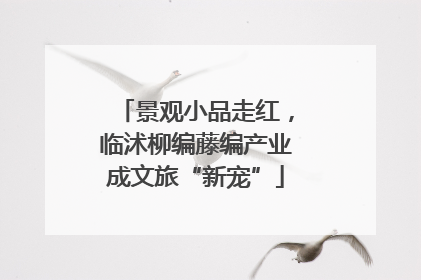 景观小品走红，临沭柳编藤编产业成文旅“新宠”