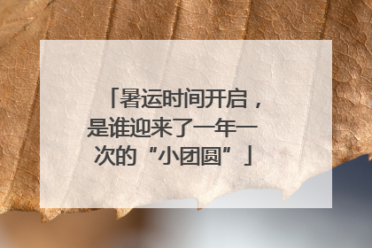 暑运时间开启，是谁迎来了一年一次的“小团圆”