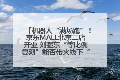 机器人“满场跑”！京东MALL北京二店开业 刘强东“等比例复刻”能否带火线下“618”？