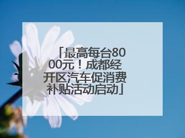 最高每台8000元！成都经开区汽车促消费补贴活动启动