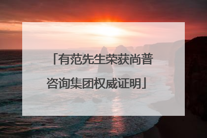 有范先生荣获尚普咨询集团权威证明