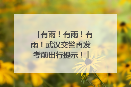 有雨！有雨！有雨！武汉交警再发考前出行提示！