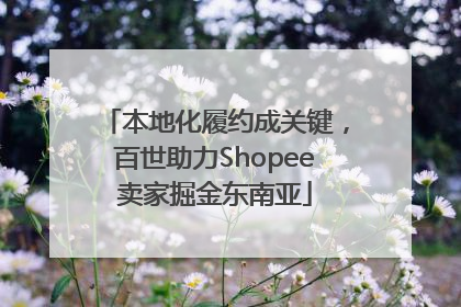 本地化履约成关键，百世助力Shopee卖家掘金东南亚