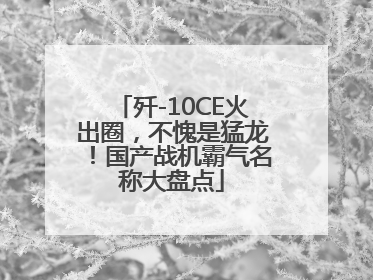 歼-10CE火出圈，不愧是猛龙！国产战机霸气名称大盘点