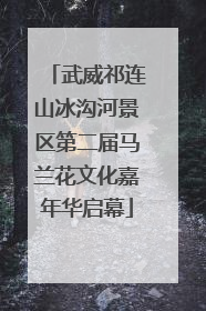 武威祁连山冰沟河景区第二届马兰花文化嘉年华启幕